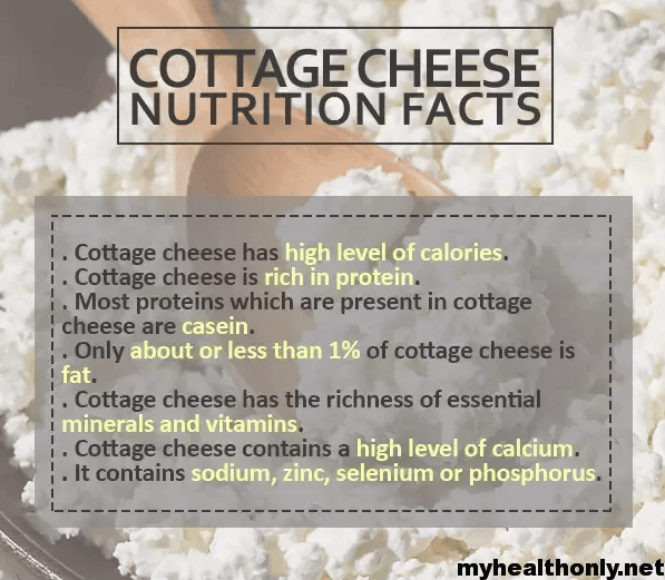 10 Special Benefits of Cottage Cheese, You must to know