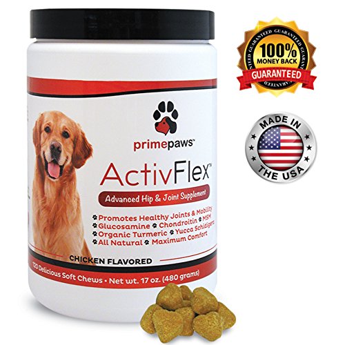 ActivFlex, Glucosamine for Dogs, Safe Arthritis Pain ...