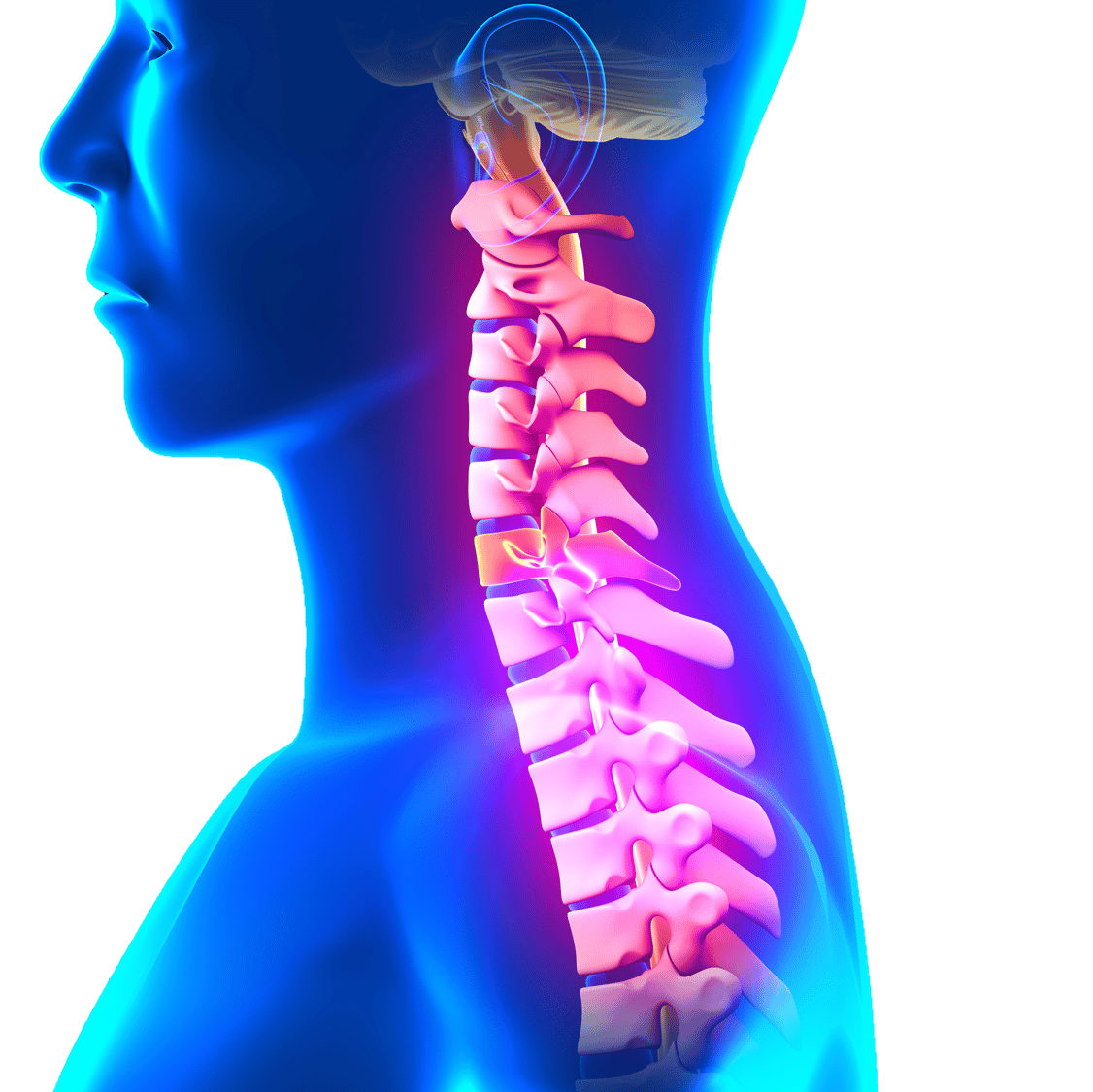 Neck pain â Spineology Chiropractic